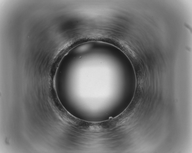 X0000094420591200711081138