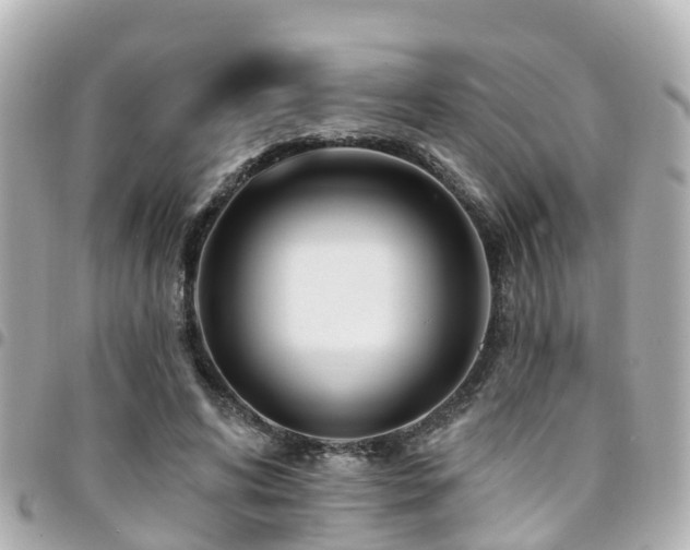 X0000094420592200711081138