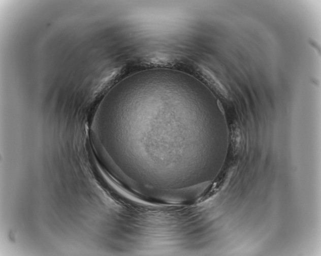 X0000094420593200711081138