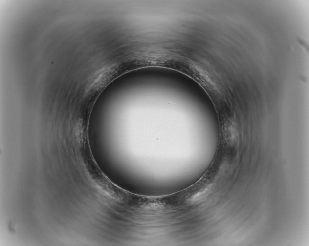 X0000094420594200711081138