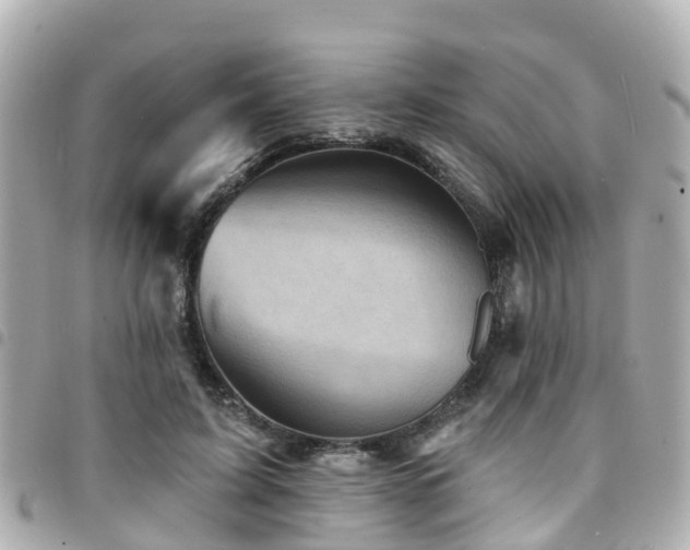 X0000094420595200711081138