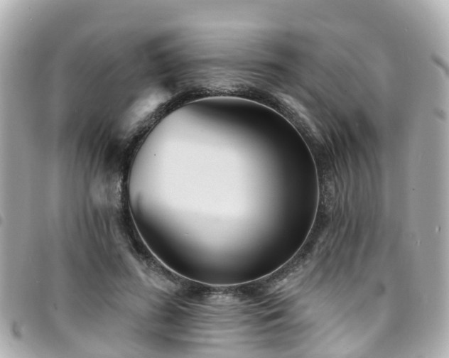 X0000094420596200711081138