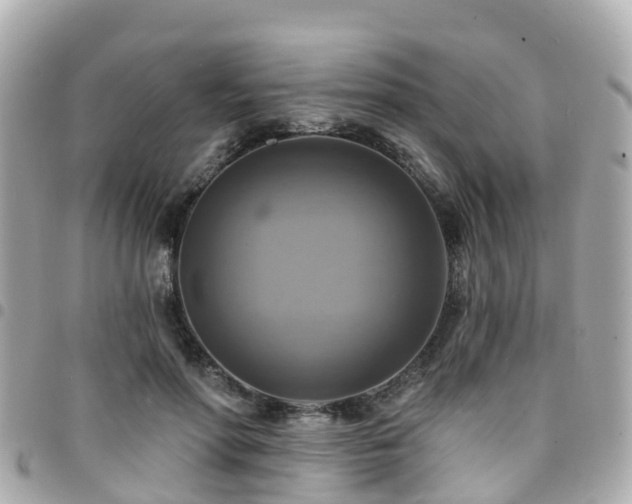 X0000094420598200711081138