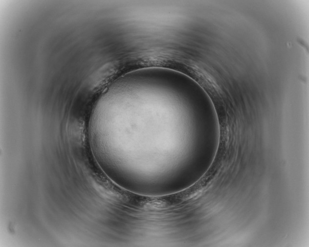 X0000094420599200711081138