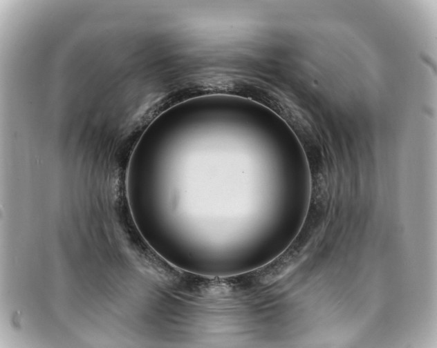 X0000094420600200711081138