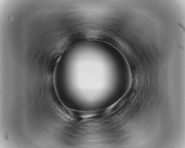 X0000094420601200711081138