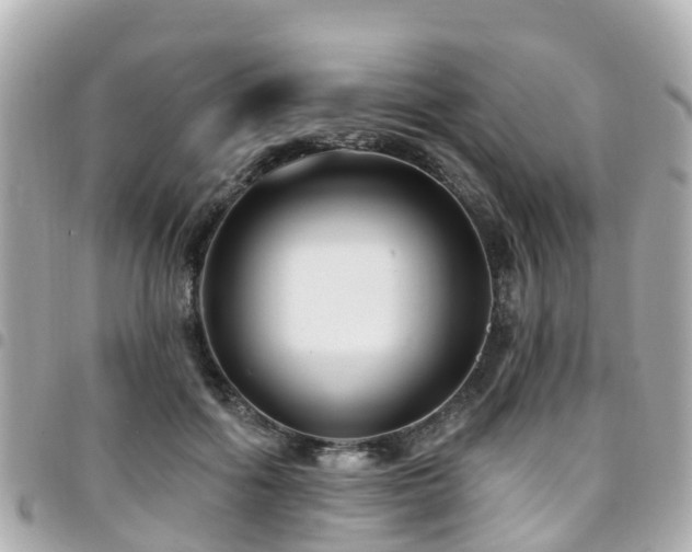 X0000094420602200711081138