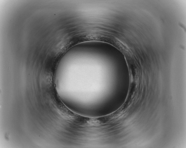 X0000094420603200711081138