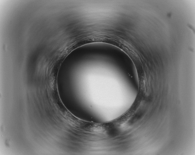 X0000094420604200711081138