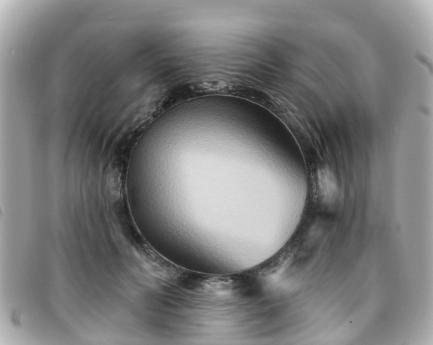 X0000094420606200711081138