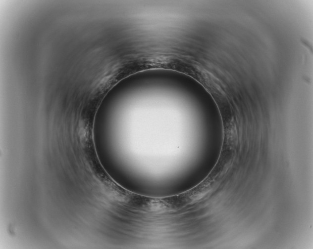 X0000094420608200711081138