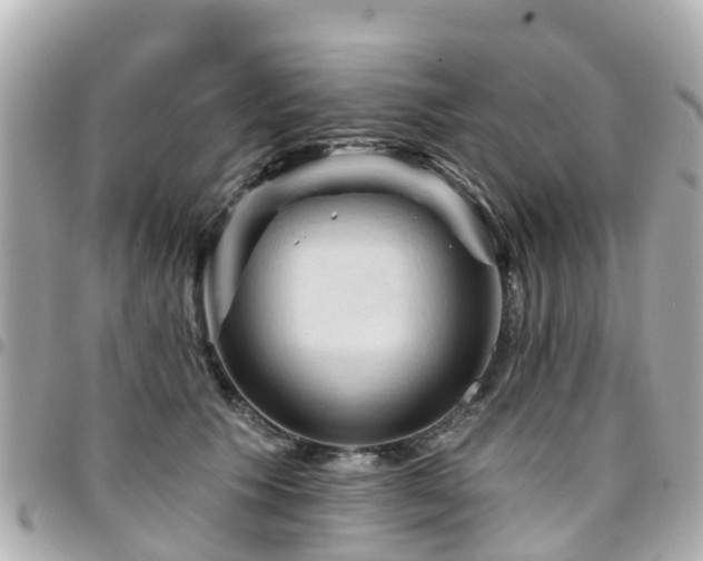 X0000094420609200711081138
