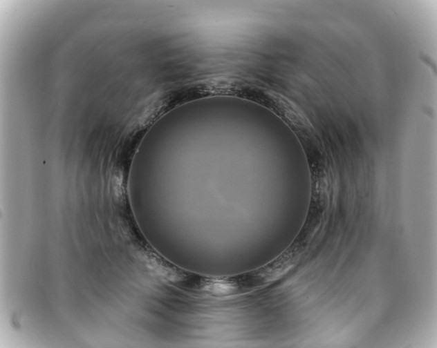X0000094420610200711081138