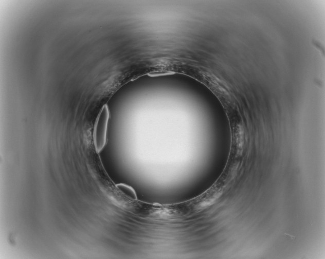 X0000094420611200711081138
