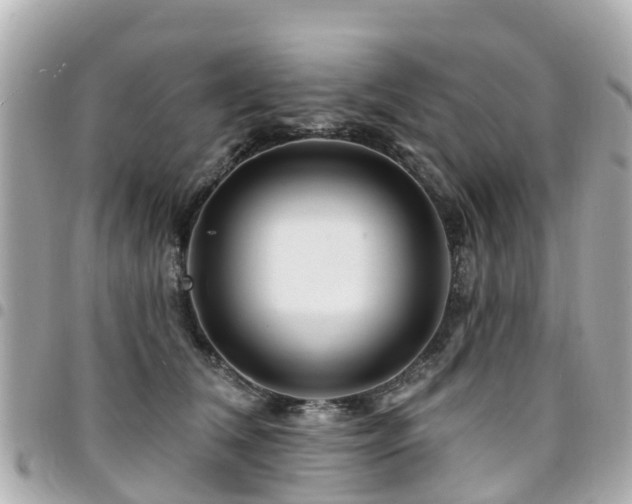 X0000094420612200711081138