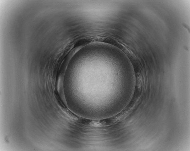 X0000094420613200711081138