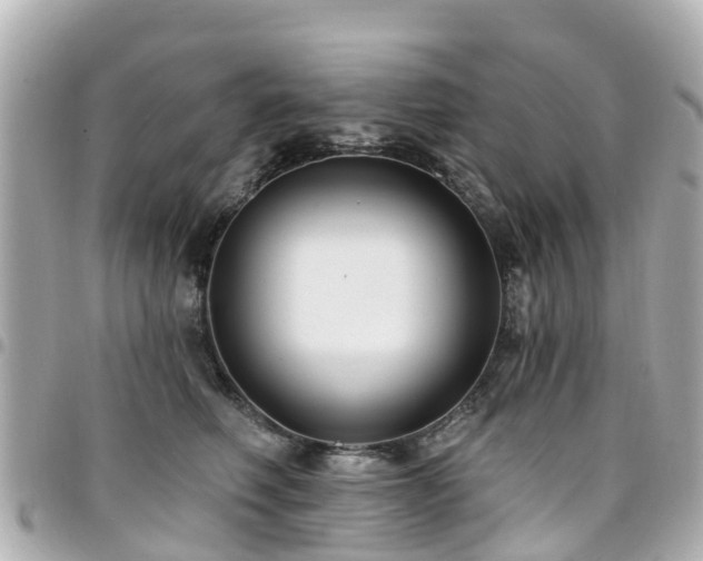 X0000094420614200711081138
