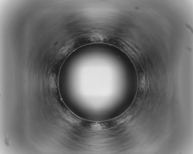 X0000094420616200711081138