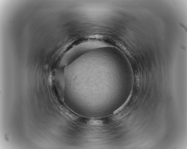X0000094420617200711081138