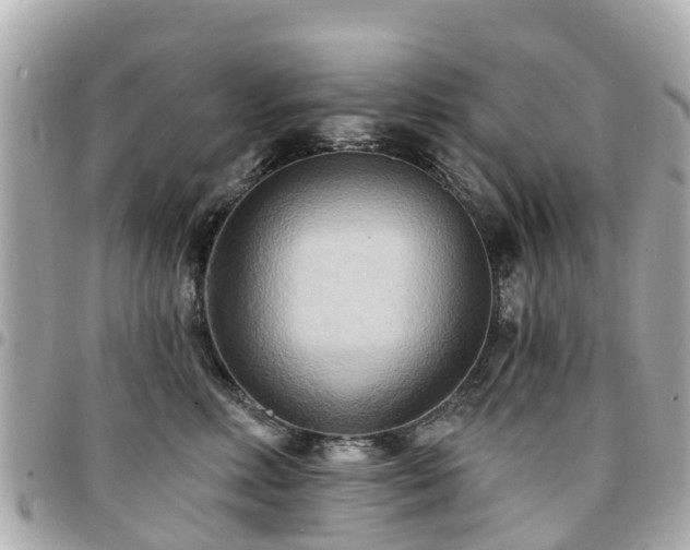 X0000094420618200711081138