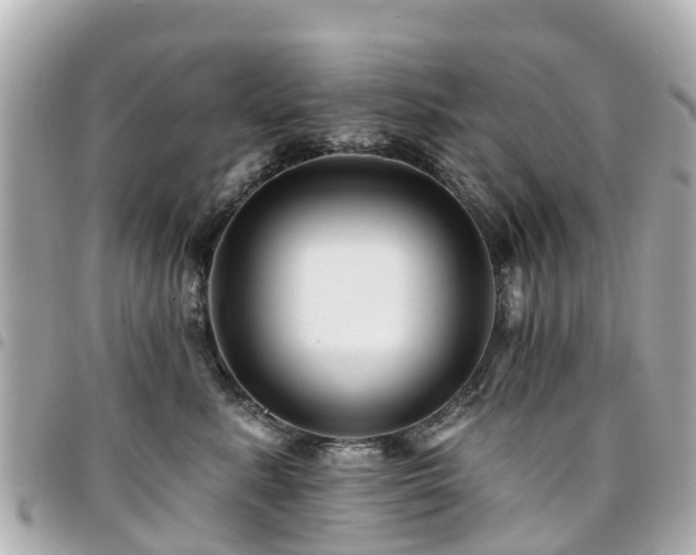 X0000094420619200711081138