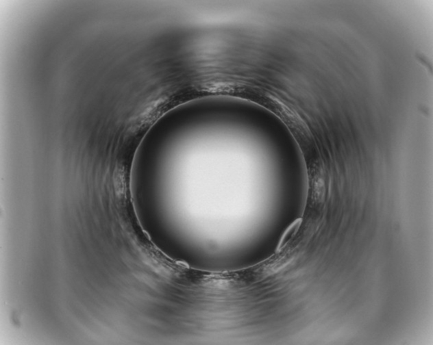 X0000094420620200711081138