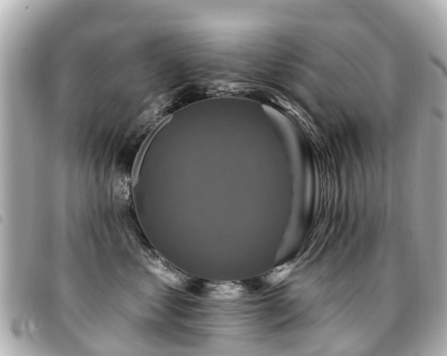 X0000094420621200711081138