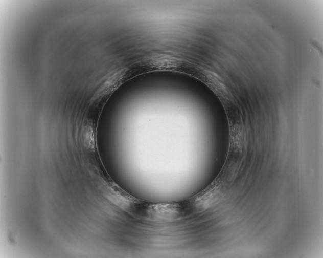 X0000094420622200711081138