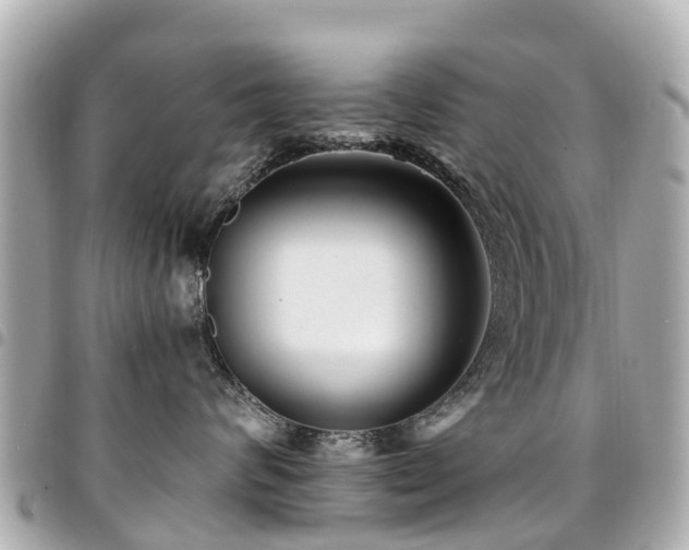 X0000094420624200711081138