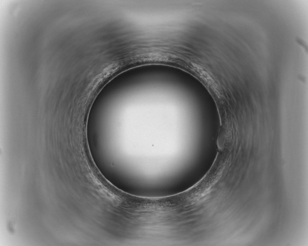 X0000094420625200711081137