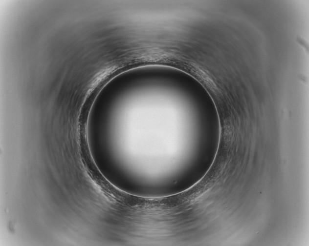 X0000094420626200711081137