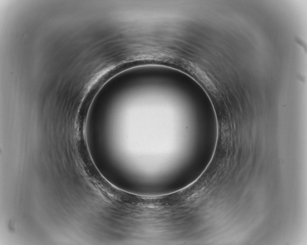 X0000094420628200711081137