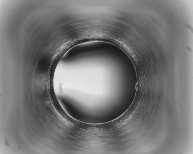 X0000094420629200711081137