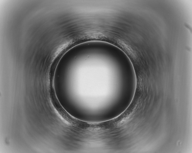 X0000094420630200711081137