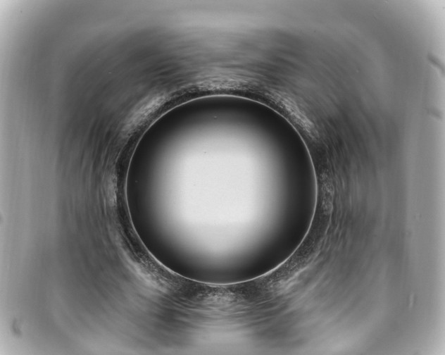 X0000094420631200711081137