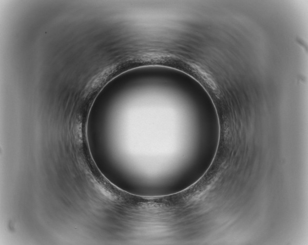 X0000094420633200711081137