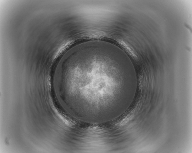 X0000094420634200711081137