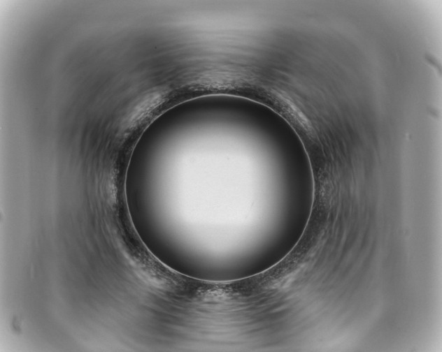 X0000094420635200711081137