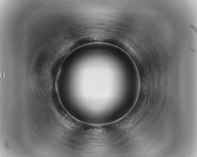 X0000094420639200711081137