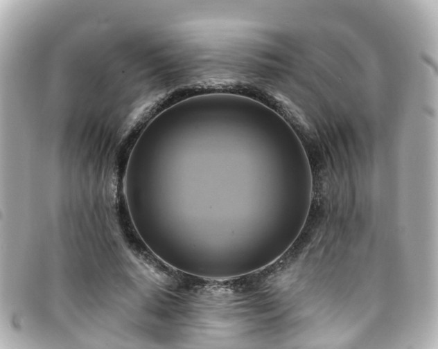 X0000094420640200711081137