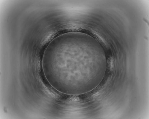 X0000094420642200711081137