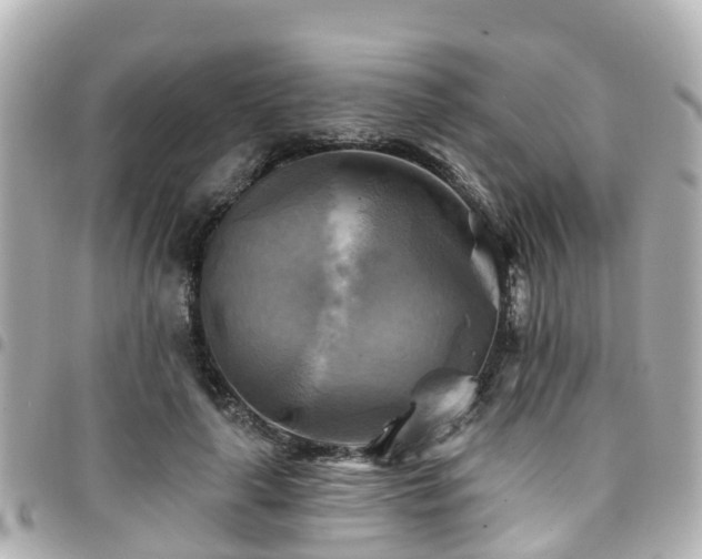 X0000094420643200711081137