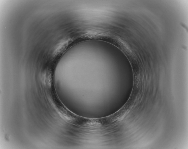 X0000094420644200711081137
