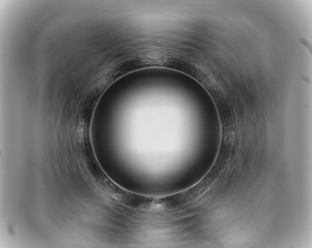 X0000094420647200711081137