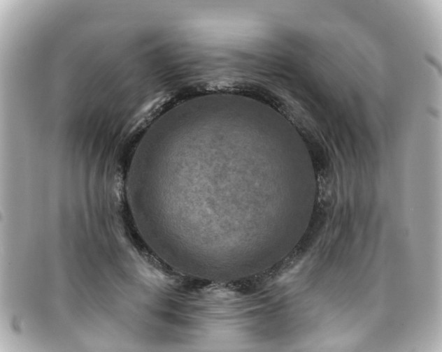 X0000094420648200711081137