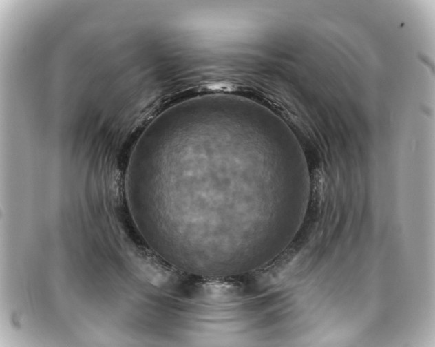 X0000094420650200711081137