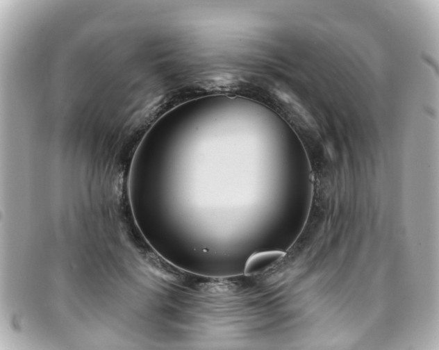 X0000094420652200711081137
