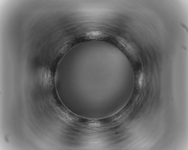 X0000094420653200711081137