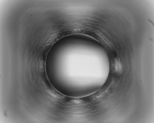 X0000094420654200711081137