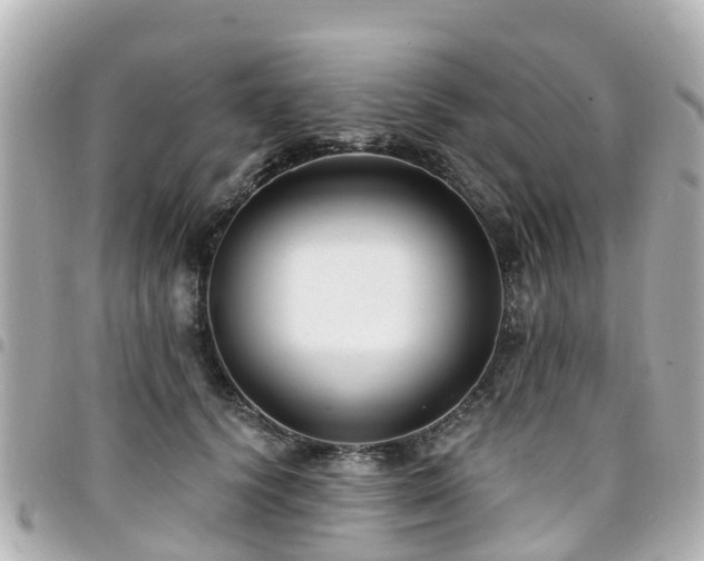 X0000094420656200711081137